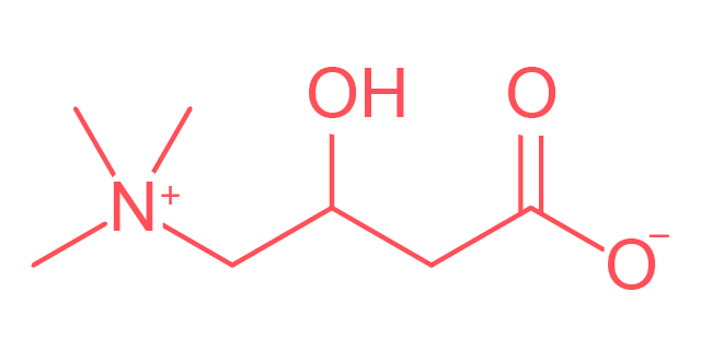how long after taking l carnitine can i eat Acetyl-L-Carnitine: Your Ultimate 2025 Nootropic Guide – HealthyHey main image 0