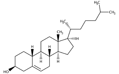 Understanding Lipids at the Molecular Level with Lipidomic Analysis