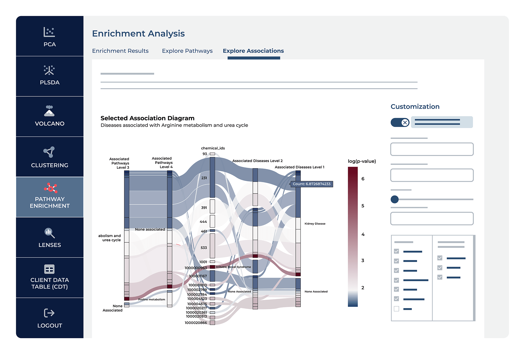 Explore Associations